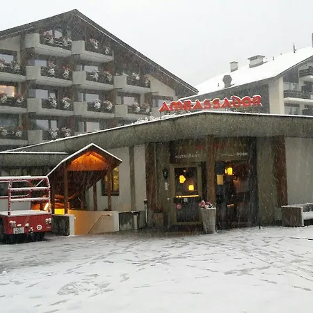 采尔马特国宾酒店 酒店 4*