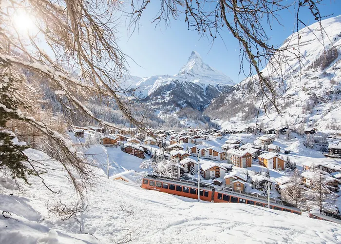 采尔马特国宾酒店 酒店 4*