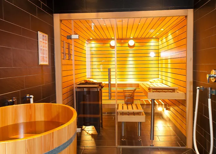 酒店 采尔马特国宾酒店 采尔马特