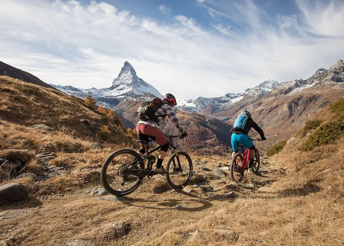 采尔马特国宾酒店 酒店