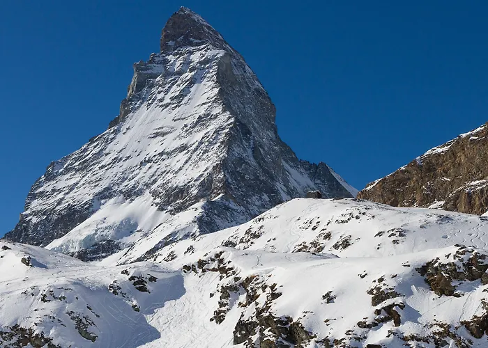 酒店 采尔马特国宾酒店 采尔马特