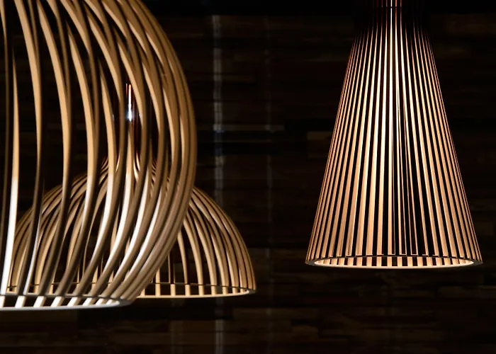 采尔马特国宾酒店 酒店 采尔马特