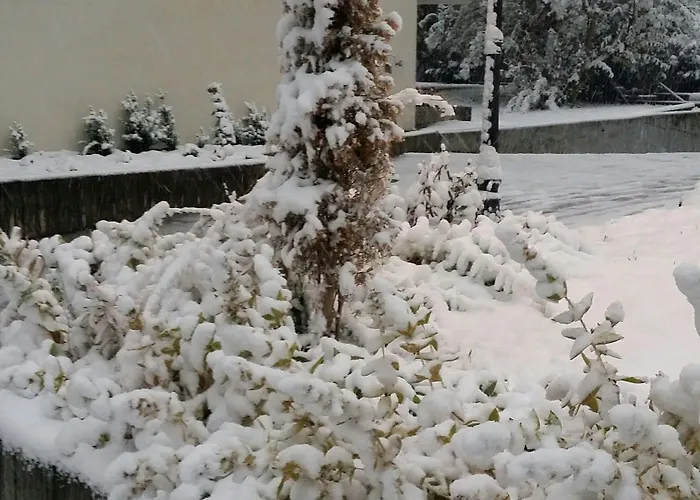 采尔马特国宾酒店 酒店 采尔马特