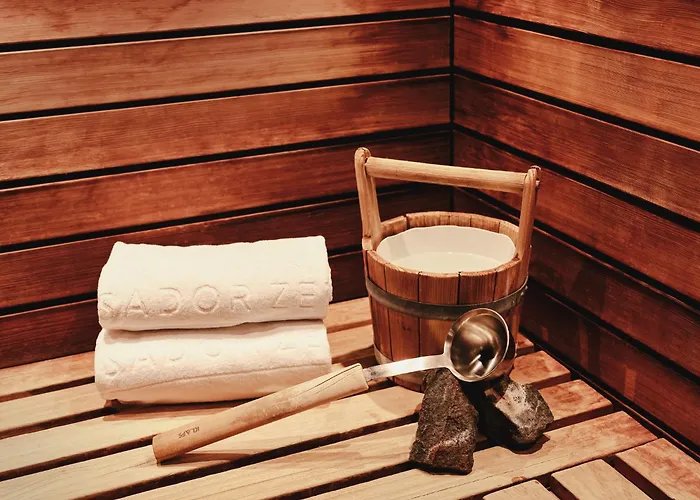 采尔马特国宾酒店