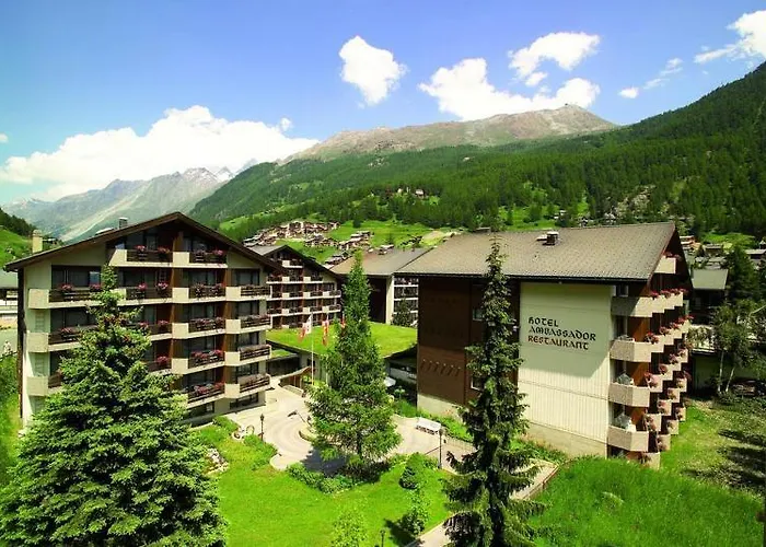 采尔马特国宾酒店 酒店